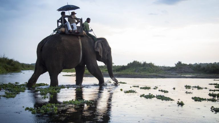 77856073_Elephant20Back20Safari_5760x3840.jpg