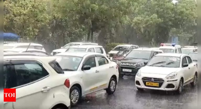 Delhi-NCR-receives-light-showers-after-prolonged-heatwave-Delhi-News.jpg