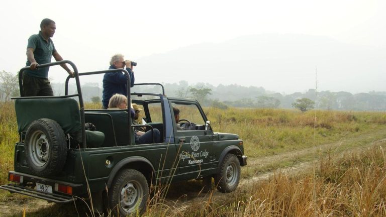 Jeep20safari20at20Kaziranga20NP.jpg