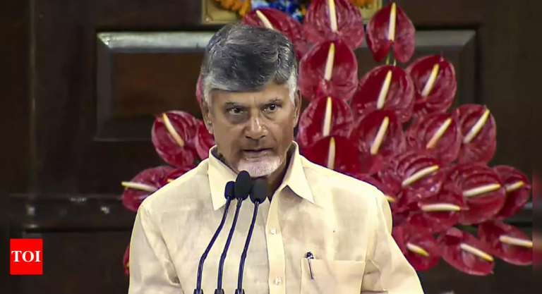 Lok-Sabha-elections-2024-TDP-chief-Chandrababu-Naidu-speech-interpreted.jpg