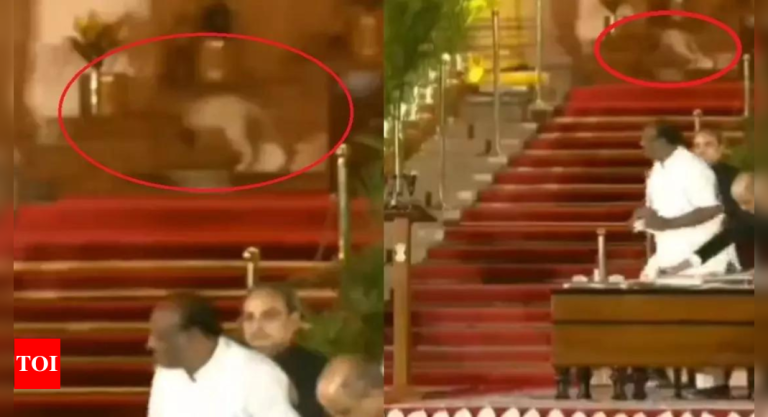 Mysterious-animal-seen-at-Rashtrapati-Bhavan-oath-ceremony-common-house.jpg