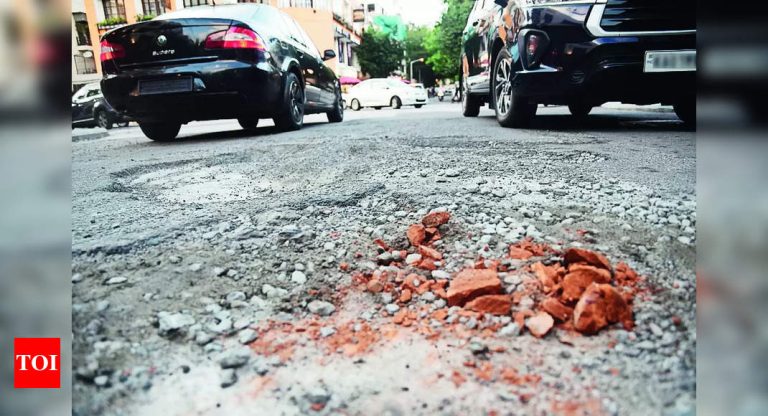 Potholes-Potholes-on-Posh-Lavelle-Road-in-Bengaluru-Bengaluru.jpg