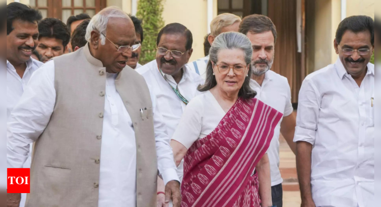 Rahul-deserves-special-thanks-Sonia-Gandhi-after-being-elected-as.jpg