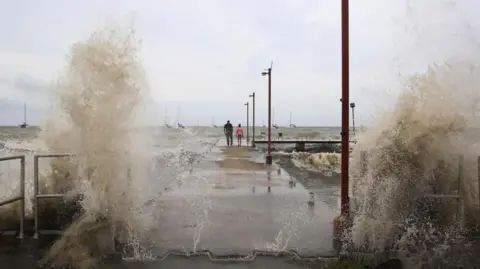 Reuters aves crash into a pier after Hurricane Beryl made landfall, in Port of Spain, Trinidad and Tobago July 1, 2024. 