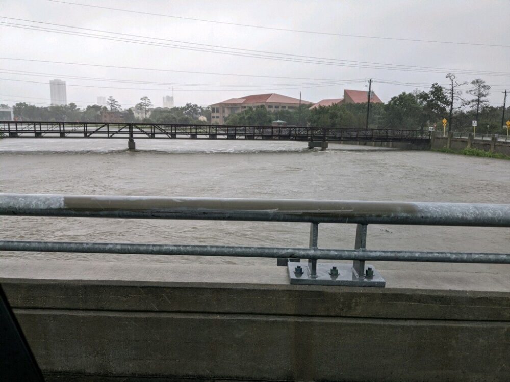 Beryl Brays Bayou