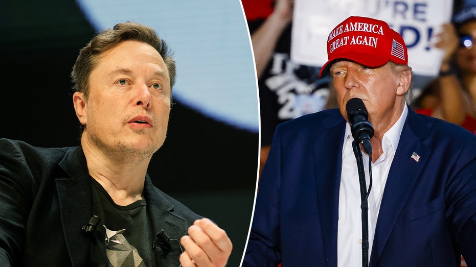 Elon Musk and Donald Trump