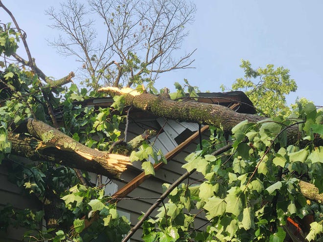 A tree fell on top of a home on Marienstein Road in Upper Black Eddy, on Tuesday, July 16, 2024, when a severe thunderstorm passed through the region causing widespread wind damage.