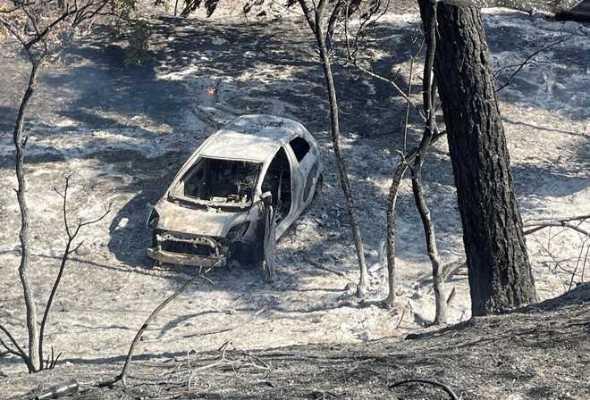 Man started Park Fire in Butte County with burning car, officials say