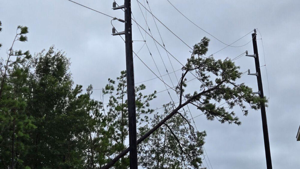 Powerlines damaged by Beryl