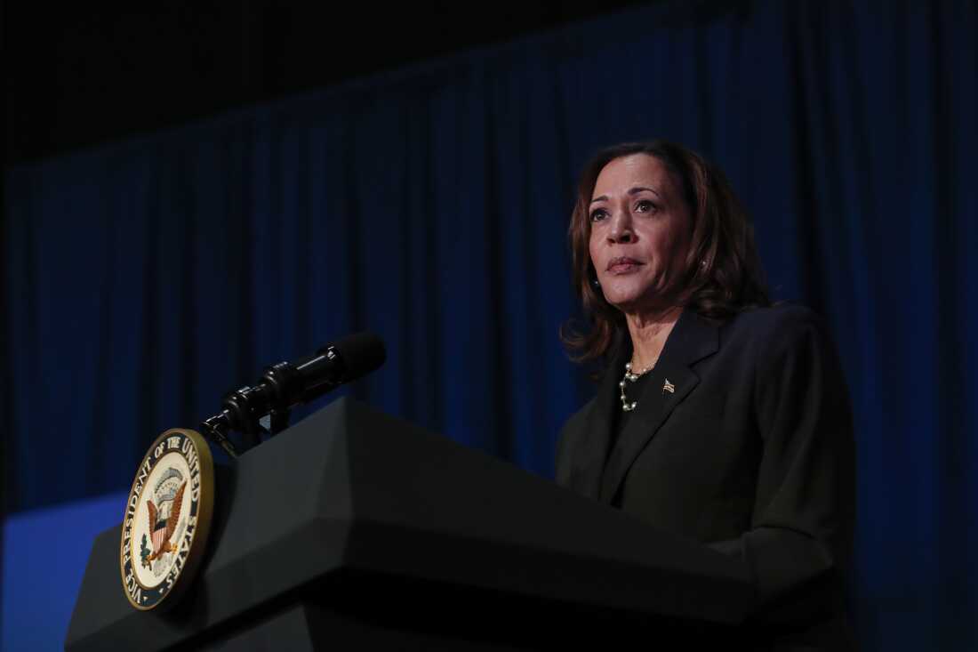 U.S. Vice President Kamala Harris makes remarks before a moderated conversation with former Trump administration national security official Olivia Troye and former Republican voter Amanda Stratton on July 17, 2024 in Kalamazoo, Michigan.