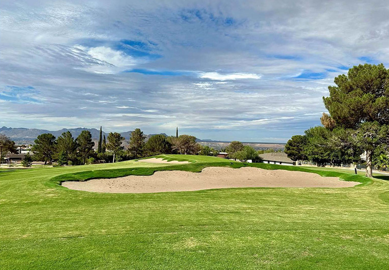 Bill Newton and dog Meeko on sunny greens at Coronado Country Club