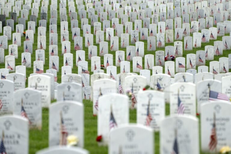 1724933718_Trumps-TikTok-features-cemetery-video-shot-after-campaign-staffs-Arlington.jpg