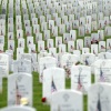 This photo shows many rows of tombstones with American flags planted in front of them for Memorial Day in Section 60 of Arlington National Cemetery, in Arlington, Va., on May 27, 2024.