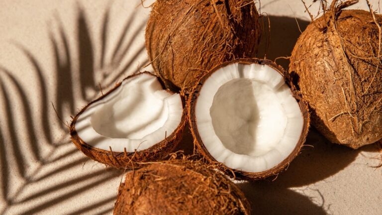 80u3stf8_coconut_625x300_13_December_23.jpg