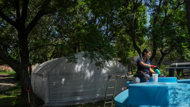 In-Mexico-City-women-water-harvesters-help-make-up-for.jpg