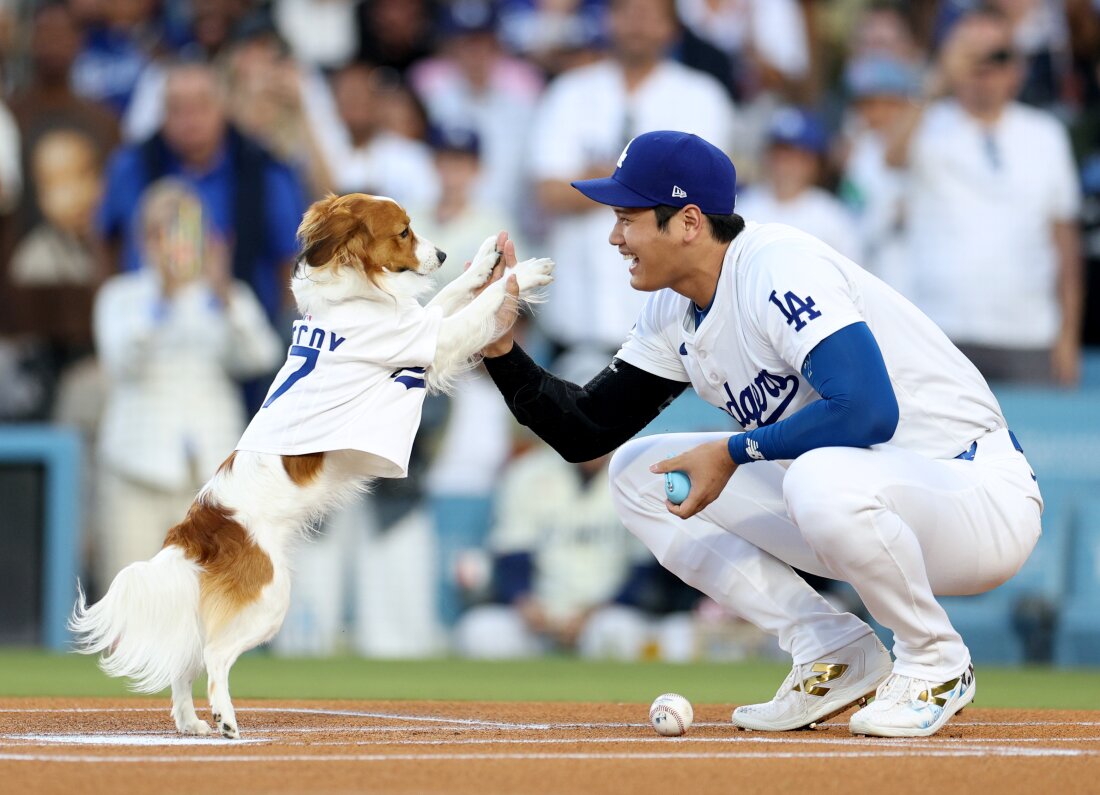 Los Angeles Dodger Shohei Ohtani high-fives his dog Decoy, who delivered the ceremonial first pitch before Wednesday's game against the Baltimore Orioles at Dodger Stadium in Los Angeles.