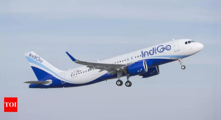 User-slams-Indigo-Airlines-for-Cute-fee-company-responds.jpg