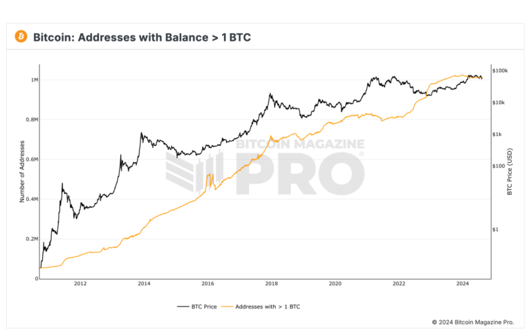 bm-pro-bitcoin-wallet-sizes-_-1-btc.png