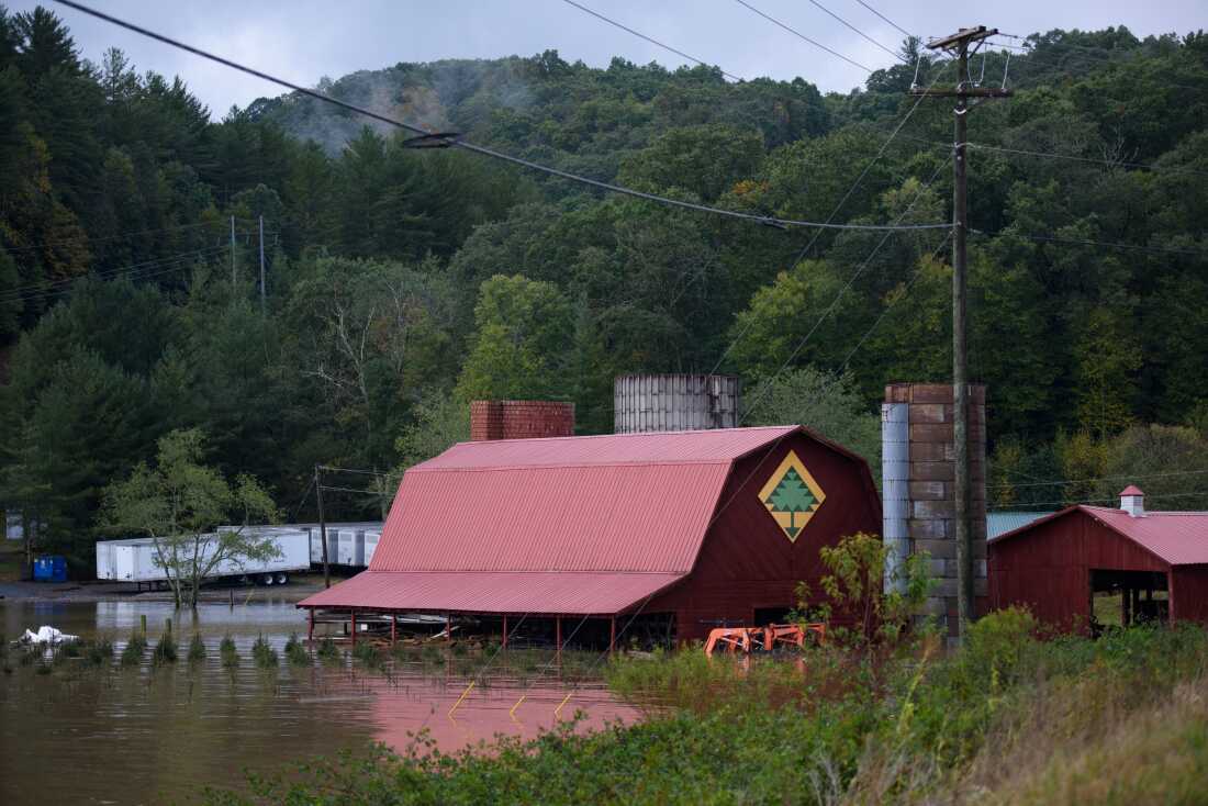 A barn and Christmas trees are seen with high water in Ashe County near West Jefferson, N.C., on Friday.