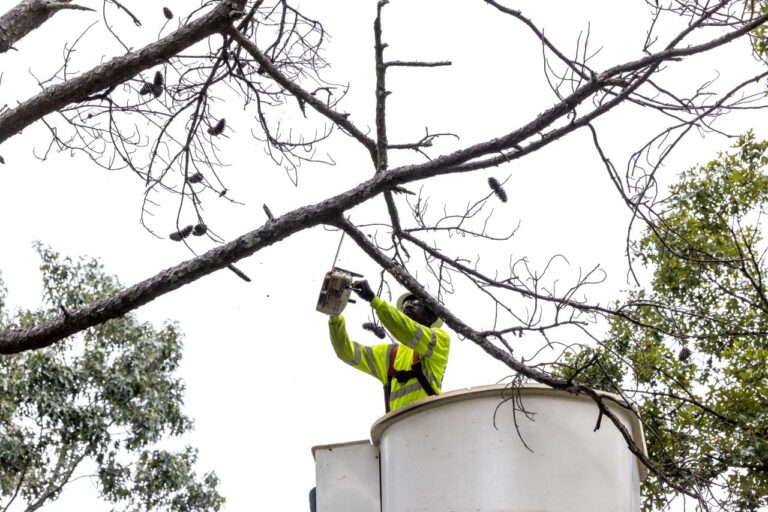 Entergy-Hurricane-Francine-update-–-91124-930-am.jpg