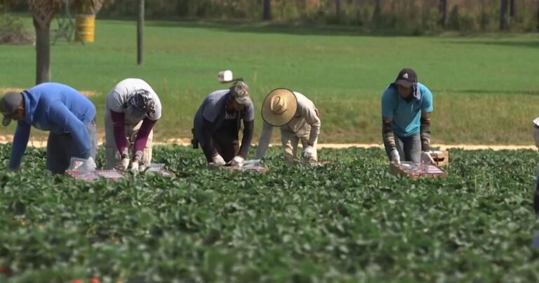 cbsn-fusion-how-extreme-heat-is-taking-a-toll-on-u-s-workers-thumbnail.jpg