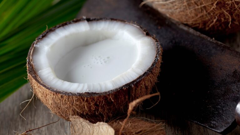 hoed1ap_coconut_625x300_30_July_24.jpg