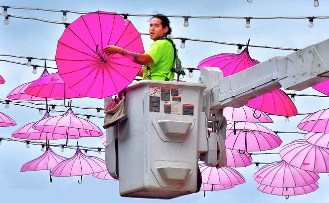 Jose Barajas of Ascom Electric in Dover hangs an umbrella in The Pink Power Parasol Project, which is now hanging in the Cherry Lane Alley behind Central Market in York. About 100 parasols were hung Thursday, September 26, 2024, and will remain there throughout October to bring awareness to Breast Cancer Awareness Month. The North George Street bridge over the Codorus Creek is also decorated. Bil Bowden photo