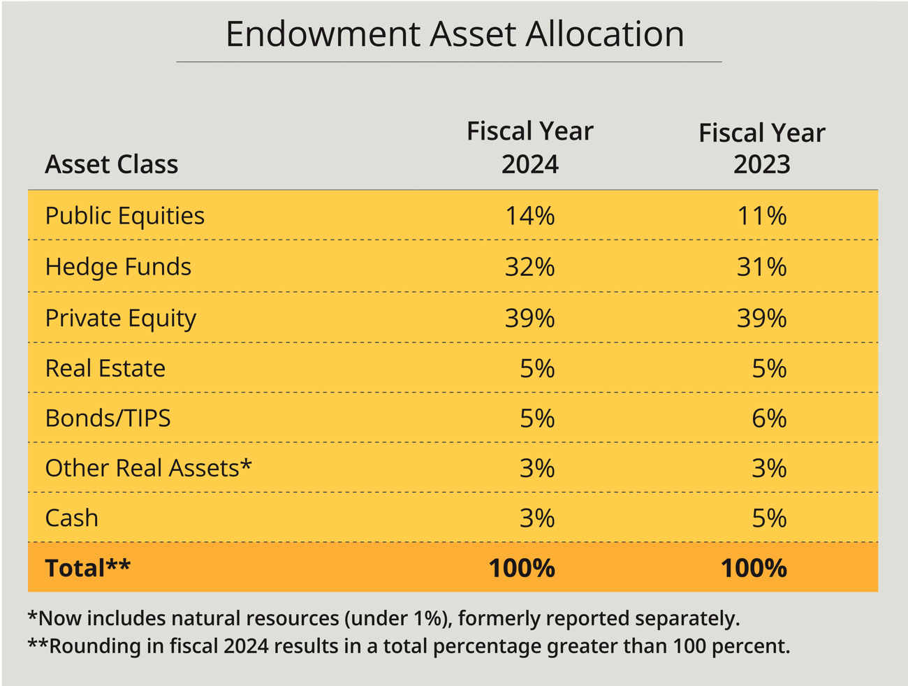 Endowment asset allocation chart