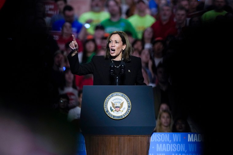 Image: kamala harris politics political politician rally election campaign