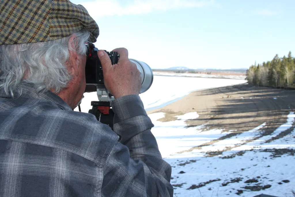 Longtime Jackson Hole wildlife photographer Tom Mangelsen, who owns the Images of Nature gallery, lines up a shot of Grizzly 399