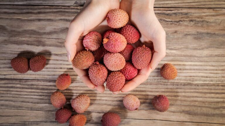 bsbkp4a_litchi_625x300_21_July_23.jpg