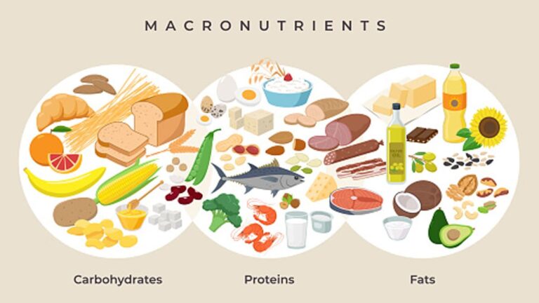 qrdlsp9g_macro-nutrients_625x300_28_May_24.jpg