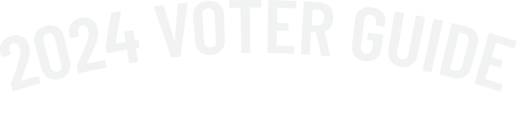 2024 Voter Guide